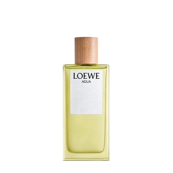 Esencia sales loewe precio